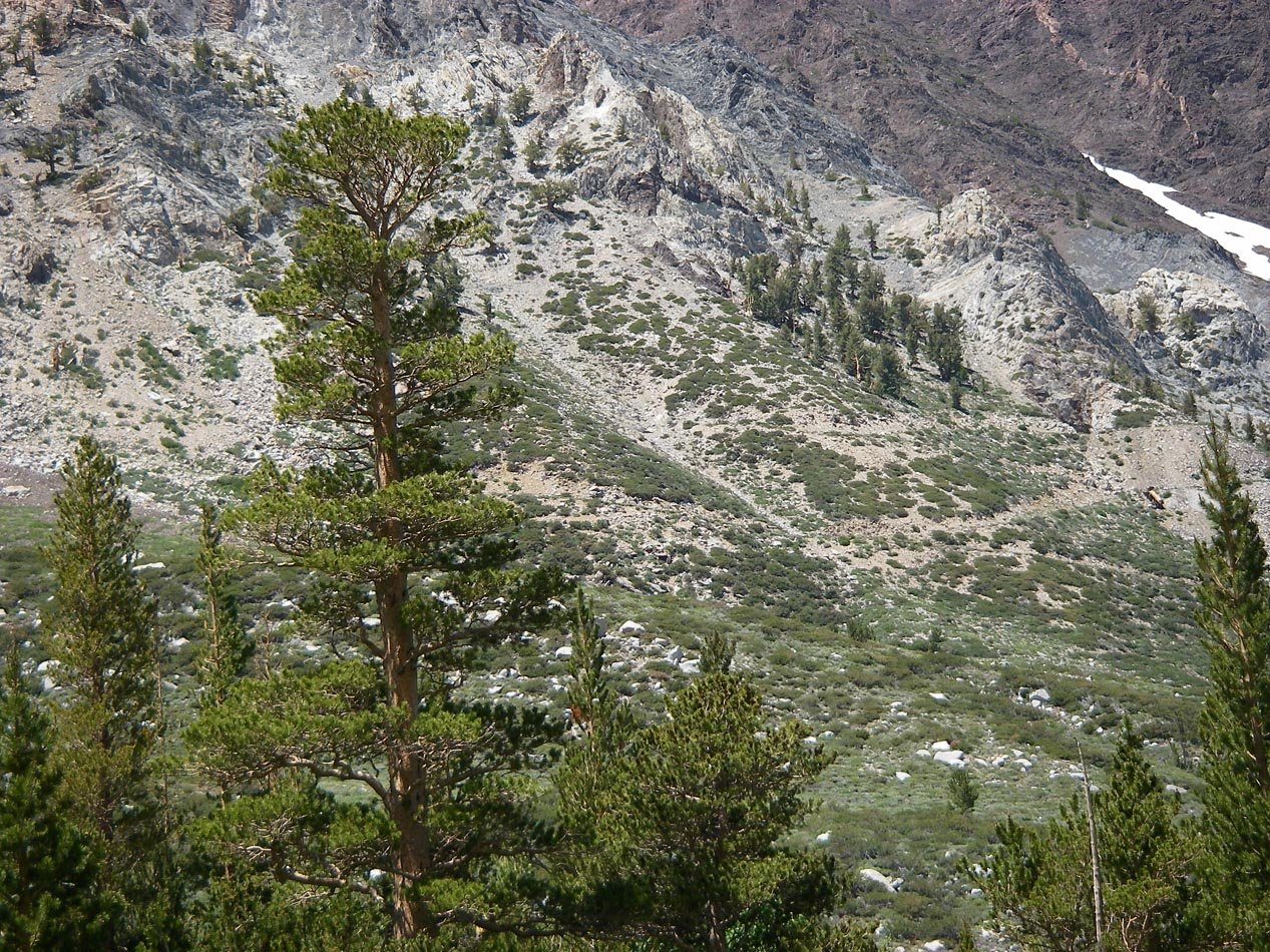 imgp5825.jpg