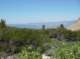 imgp5826_small.jpg