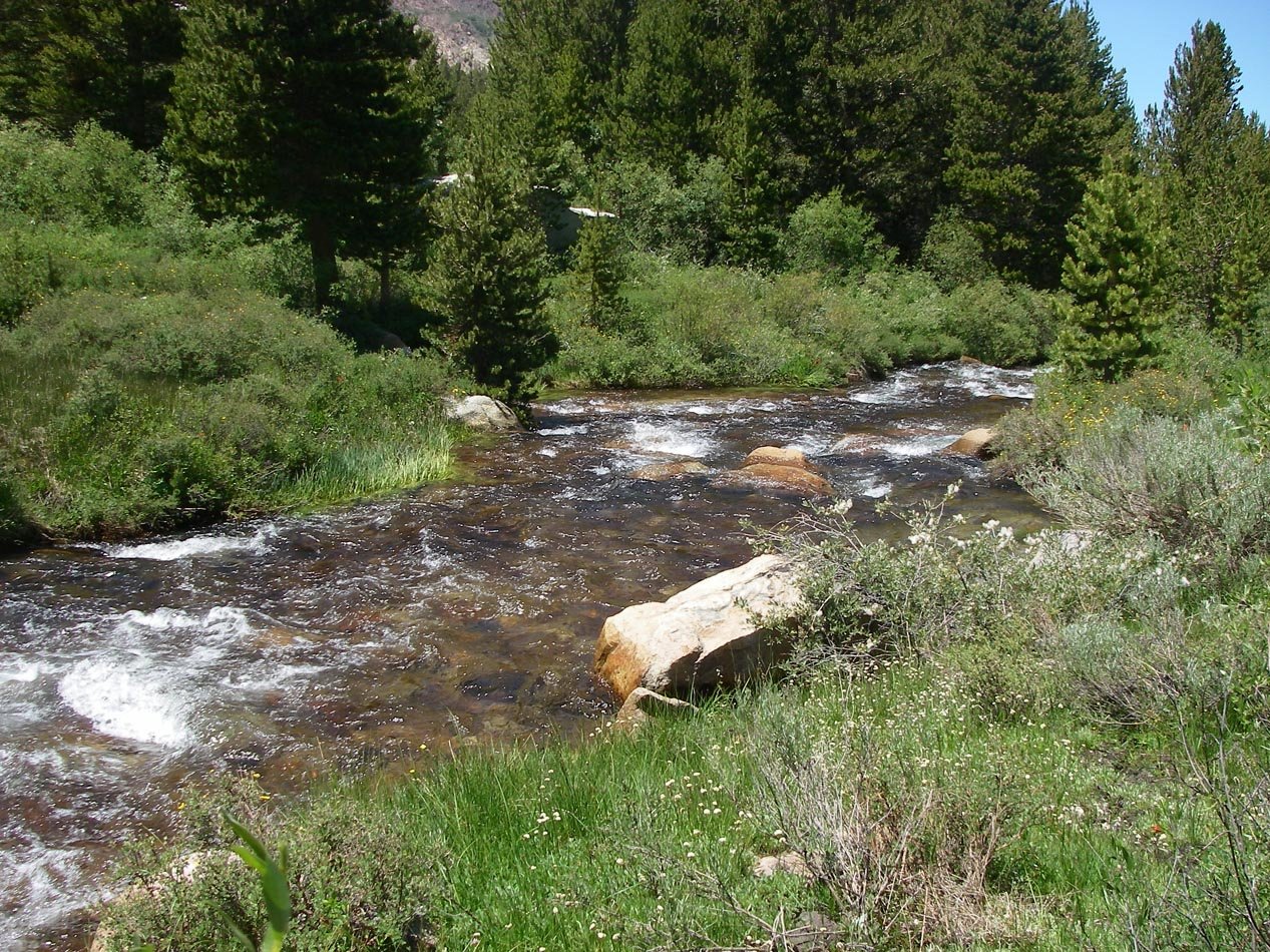 imgp5829.jpg