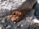 imgp5842_small.jpg