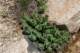 imgp5858_small.jpg