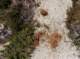 imgp5869_small.jpg