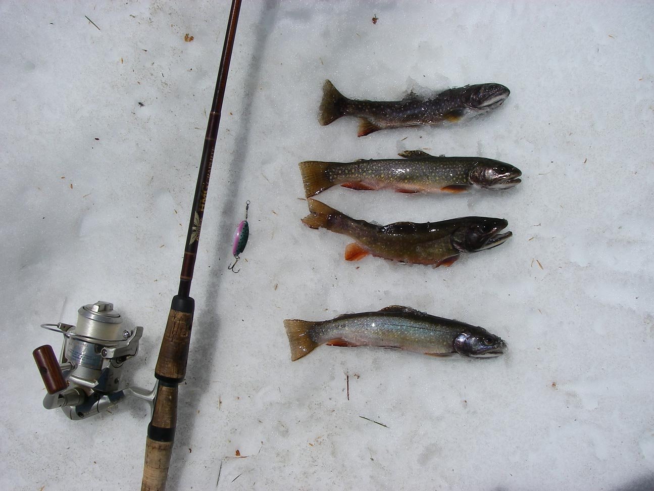 There are so many dinky brook trout in the high lakes Mike Dufish considers them finned vermin, High Sierra 7/20/2011