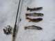 There are so many dinky brook trout in the high lakes Mike Dufish considers them finned vermin, High Sierra 7/20/2011