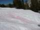 imgp5890_small.jpg