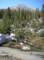 imgp5918_small.jpg