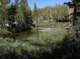 imgp5923_small.jpg