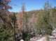 imgp5926_small.jpg