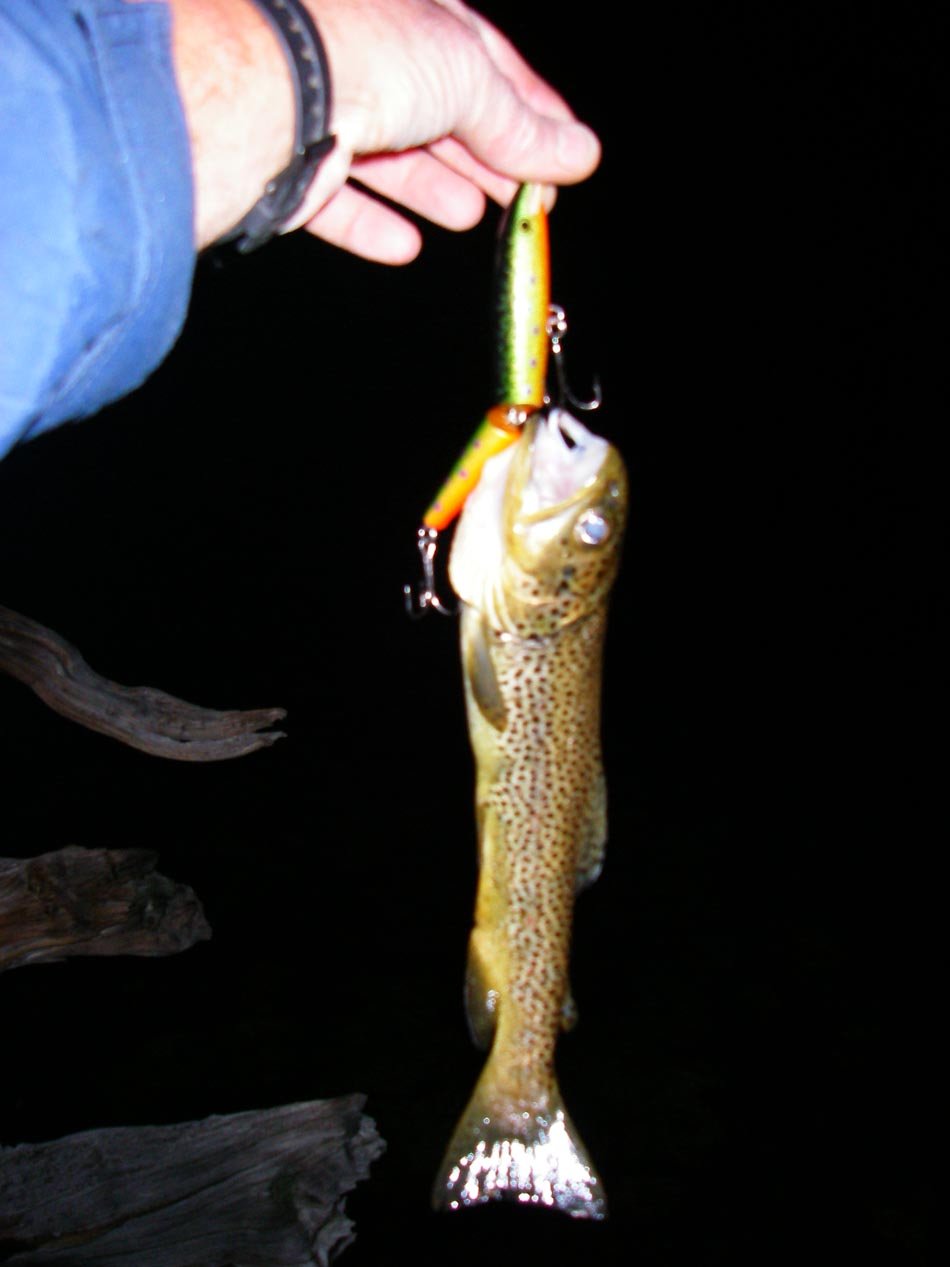 Mike Dufish finally caught a brown trout on the big Rapala at his secret brown trout lake, High Sierra 7/20/2011