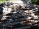 imgp5937_small.jpg