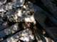 imgp5939_small.jpg