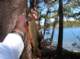 Larger than usual brook trout caught on a lure from the inlet to Second Lake, High Sierra 7/20/2011