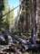 imgp5971_small.jpg