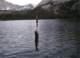 Small rainbow hit a big lure at Secret Brown Trout Lake, High Sierra 7/20/2011
