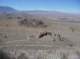 imgp6521_small.jpg
