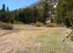 imgp6532_small.jpg