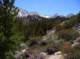 imgp6540_small.jpg