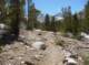 imgp6544_small.jpg