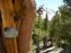 imgp6548_small.jpg