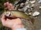 imgp6564_small.jpg