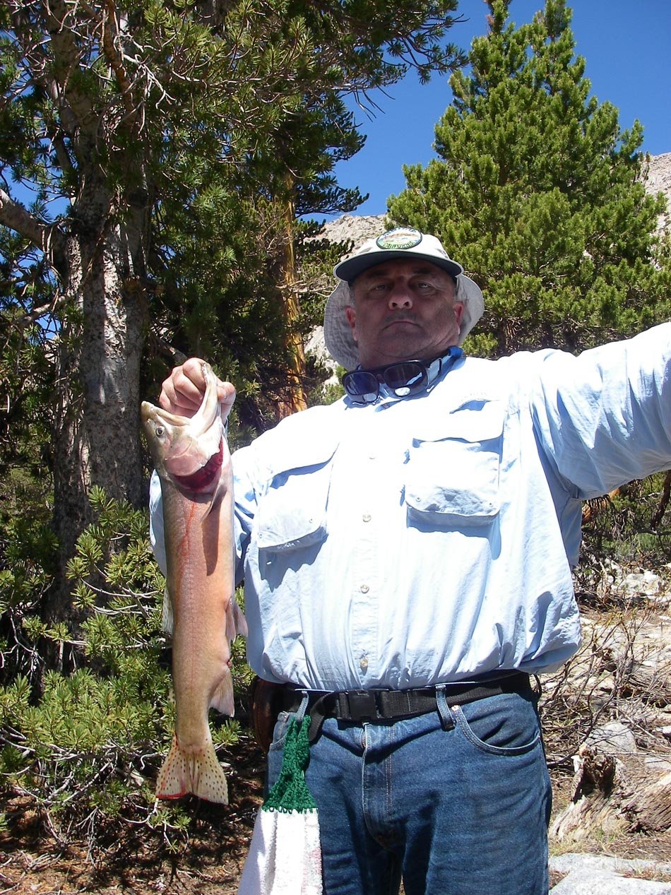 Mike Dufish catches a Lahontan cutthroat trout from his secret High Sierra lake 5/24/2012