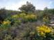 imgp6594_small.jpg