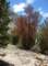 imgp6900_small.jpg