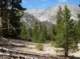 imgp6901_small.jpg