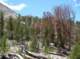 imgp6903_small.jpg