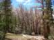 imgp6904_small.jpg