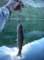imgp6913_small.jpg