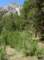 imgp6926_small.jpg