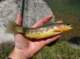 imgp6959_small.jpg