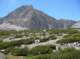 imgp6973_small.jpg