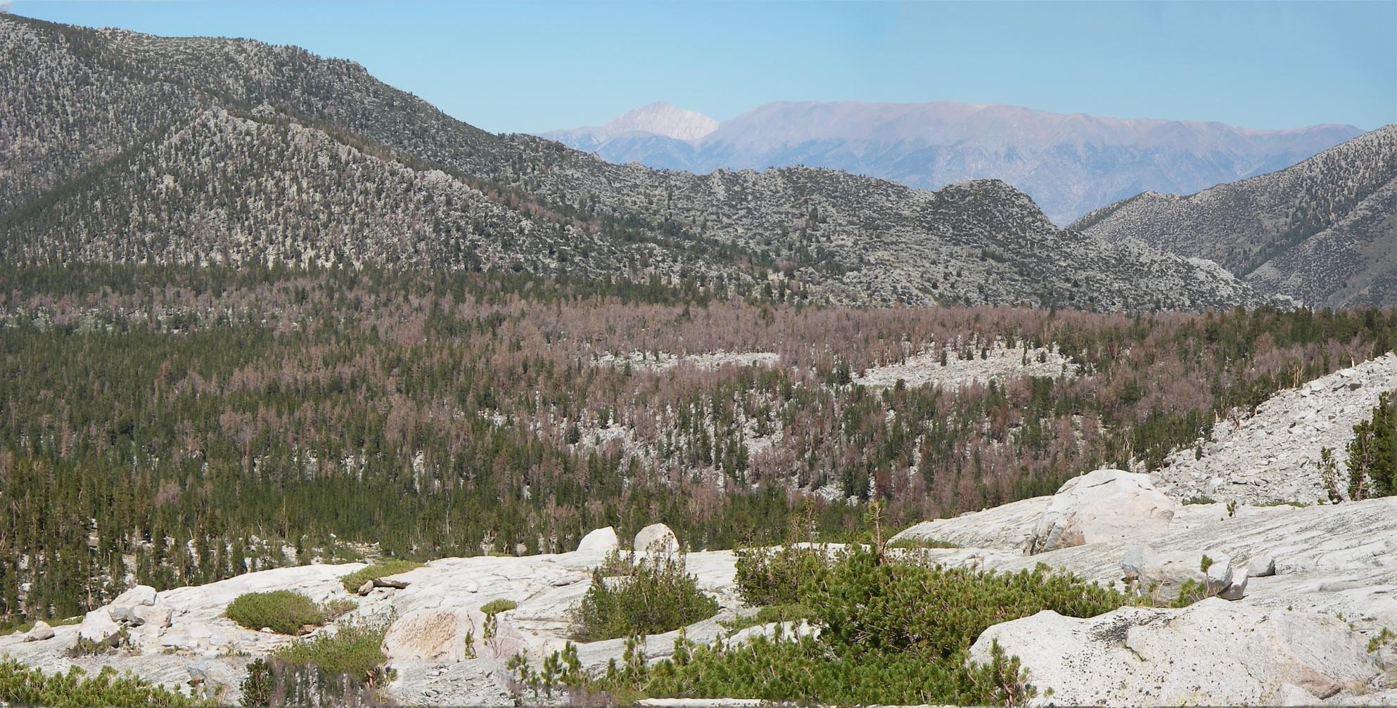 imgp6976m.jpg