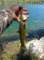 imgp6984_small.jpg