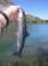 imgp6988_small.jpg