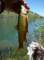 imgp6989_small.jpg