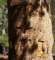 imgp6992_small.jpg