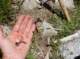 imgp6993_small.jpg