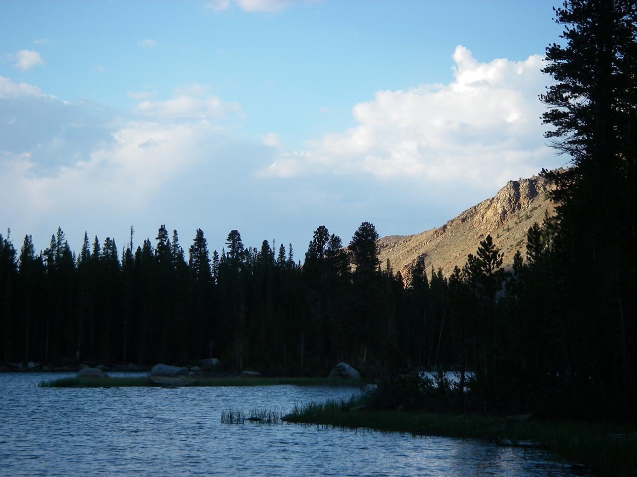 imgp7029.jpg