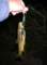 imgp7038_small.jpg