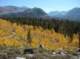 imgp7136_small.jpg