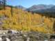 imgp7137_small.jpg