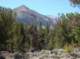 imgp7144_small.jpg