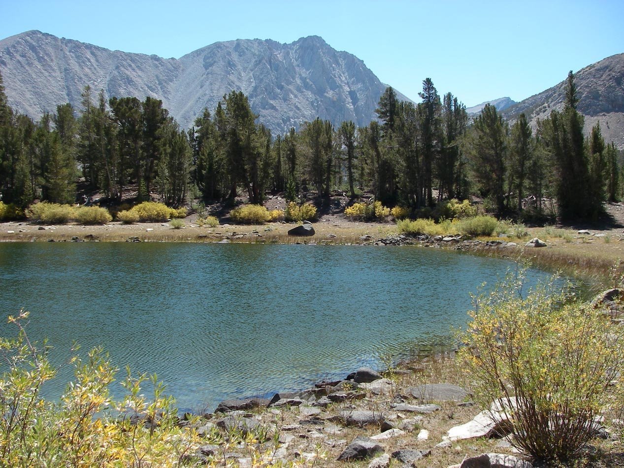 imgp7145.jpg