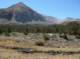 imgp7146_small.jpg