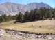 imgp7154_small.jpg