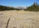 imgp7155_small.jpg