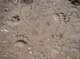 imgp7159_small.jpg